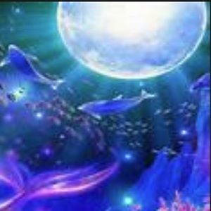 Meet your Posher, Alorah